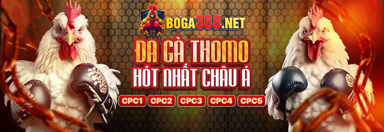 Đá Gà Trực Tuyến m98vn Đăng Nhập